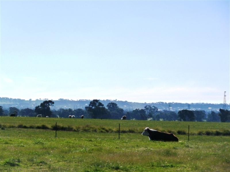 1149 Gregadoo East Road, Gregadoo, Wagga Wagga NSW 2650