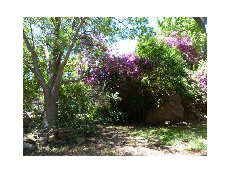 17 Malumba Crescent, Kooringal NSW 2650