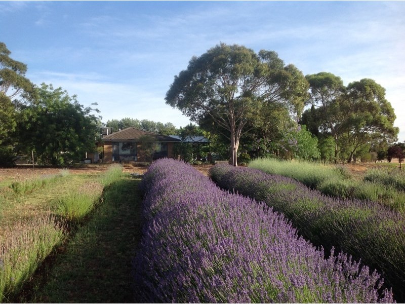 519 Shepherds Siding Road, Wagga Wagga NSW 2650