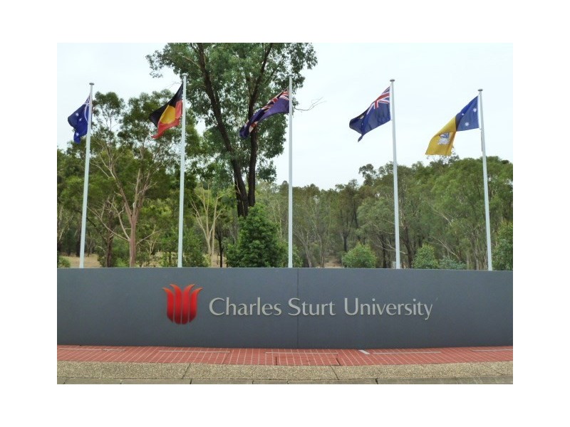 6 Colombo Avenue, Estella NSW 2650