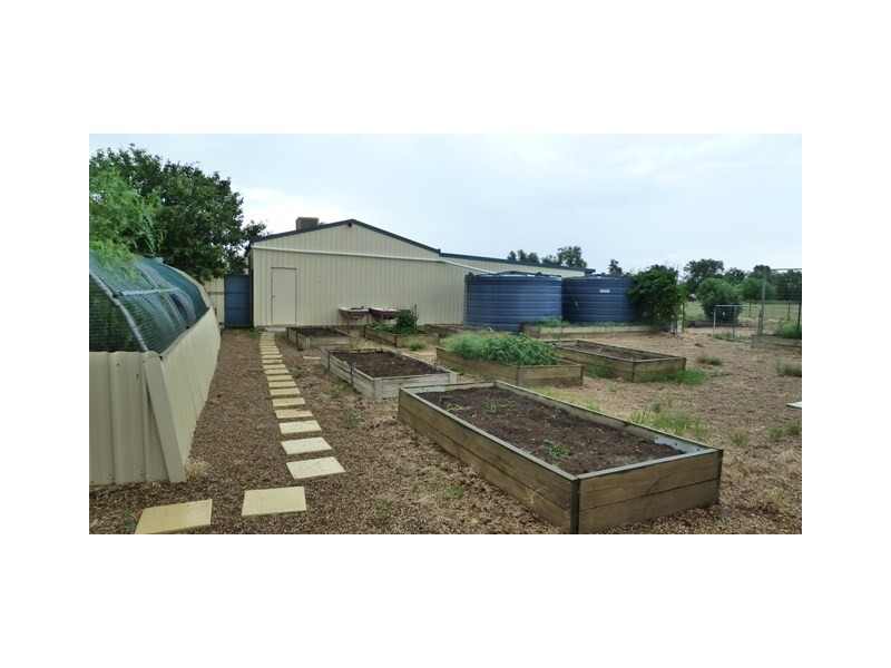 60 Cleek Street, Currawarna NSW 2650