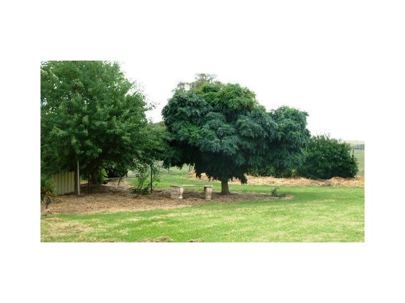 60 Cleek Street, Currawarna NSW 2650