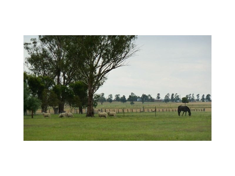 60 Cleek Street, Currawarna NSW 2650