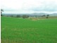 Holbrook NSW 2644