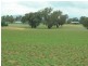 Holbrook NSW 2644