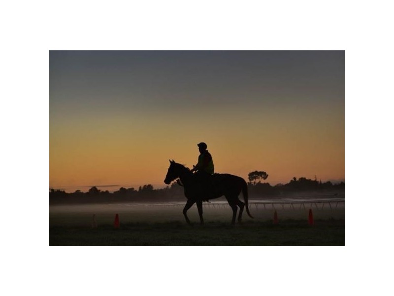 42 Slocum Street, Wagga Wagga NSW 2650