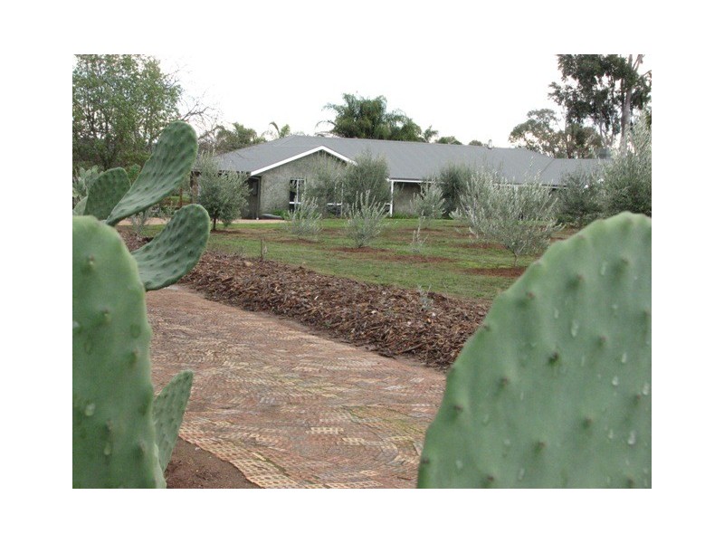 Lake Albert NSW 2650