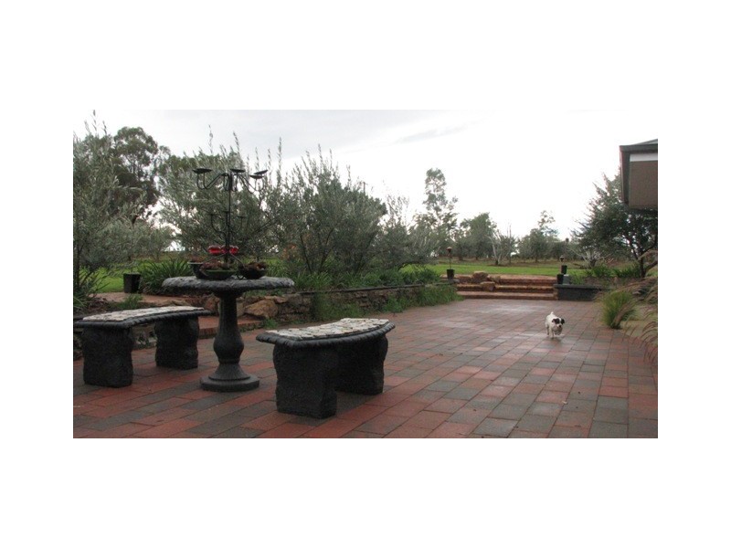 Lake Albert NSW 2650