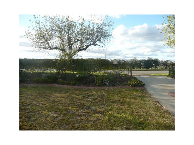 Wagga Wagga NSW 2650