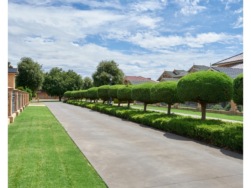 6/46 Slocum Street, Wagga Wagga NSW 2650