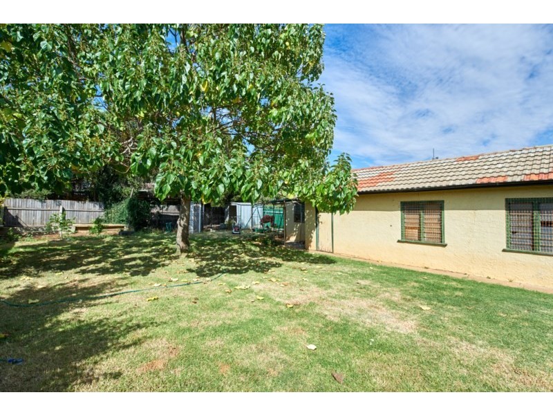 164 Fernleigh Road, Mount Austin NSW 2650