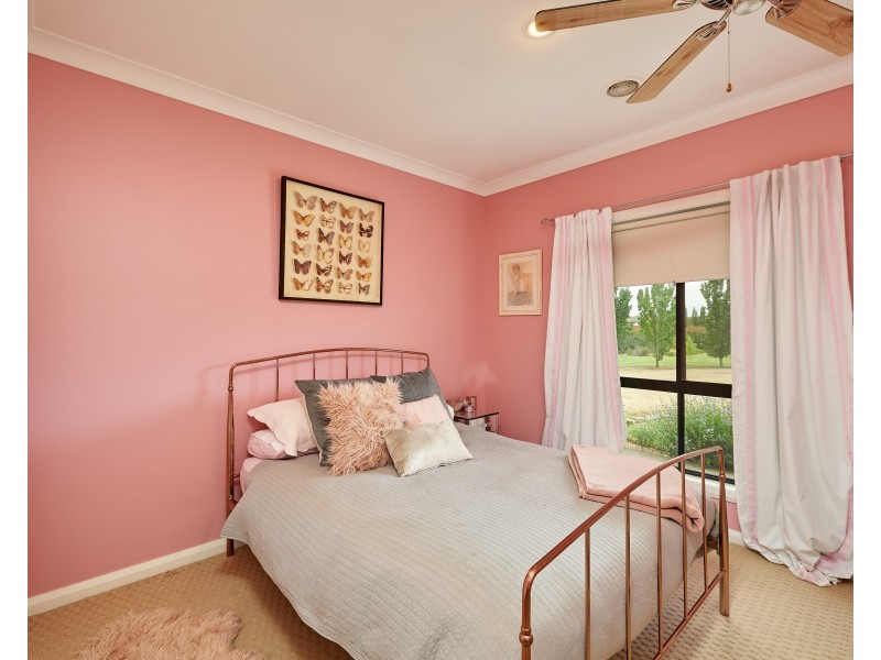 48 Lloyd Road, Springvale NSW 2650