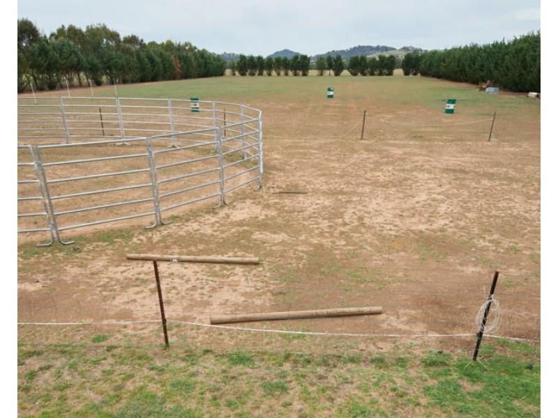 48 Lloyd Road, Springvale NSW 2650