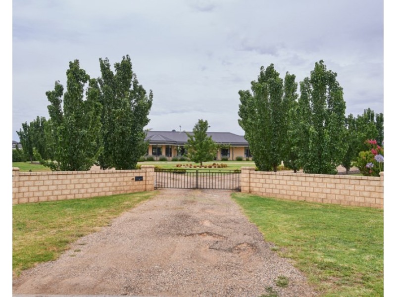 48 Lloyd Road, Springvale NSW 2650