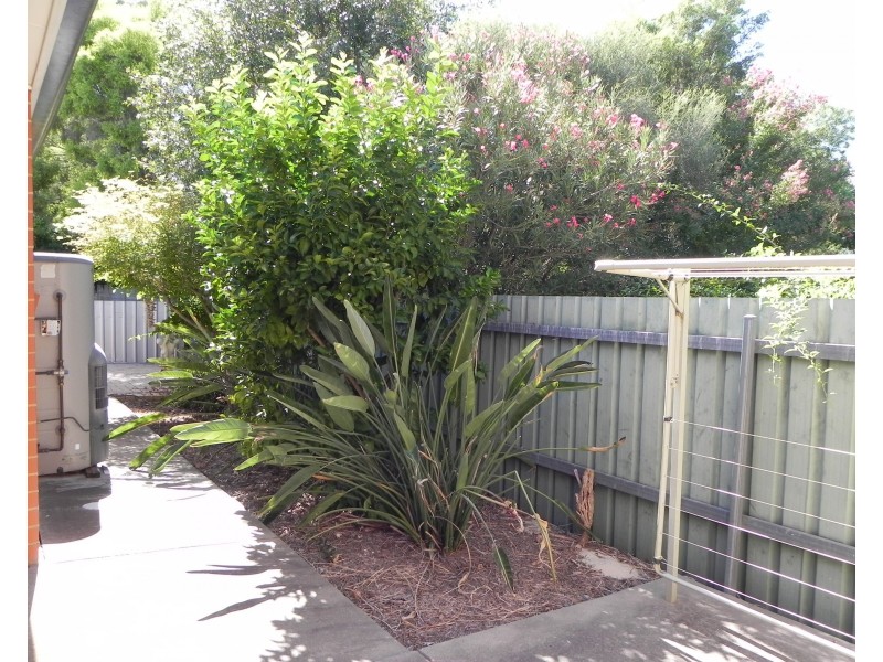 1B Day Street, Wagga Wagga NSW 2650