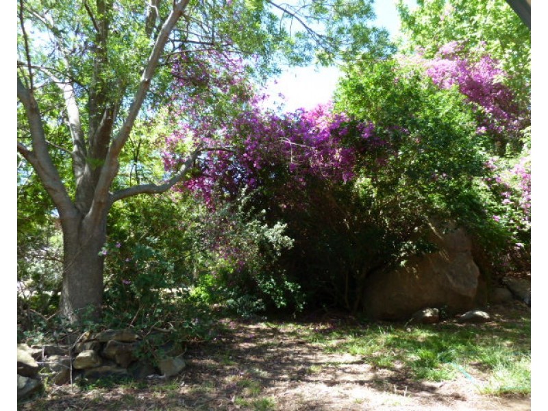 17 Malumba Crescent, Kooringal NSW 2650