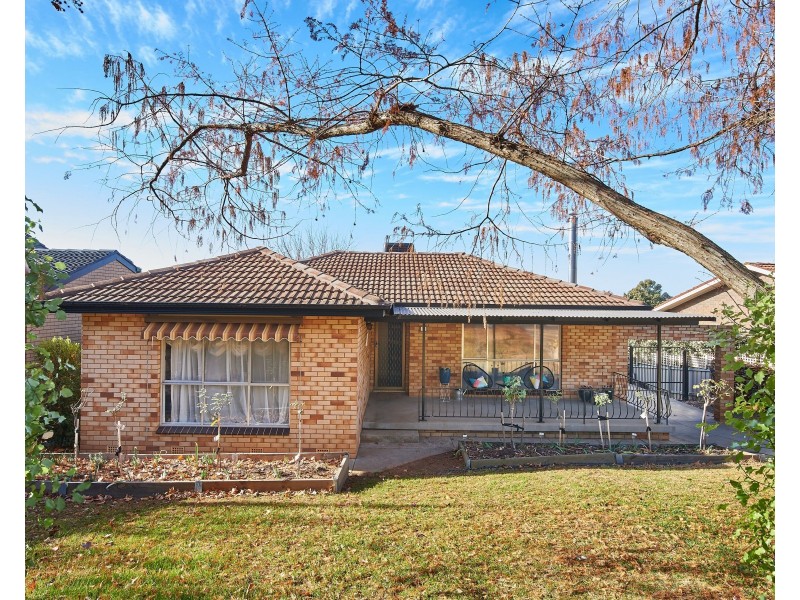 55 Wilks Avenue, Kooringal NSW 2650