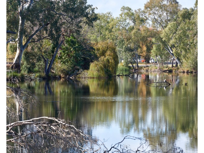 34 The Esplanade, Wagga Wagga NSW 2650