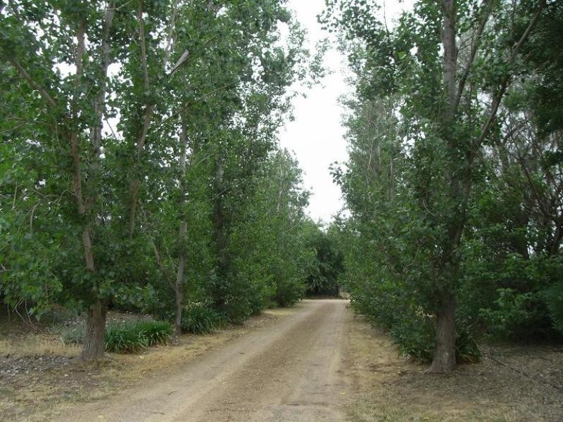 Wagga Wagga NSW 2650