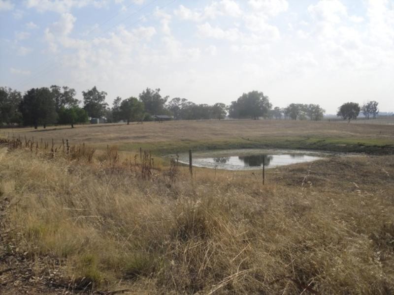 Wagga Wagga NSW 2650