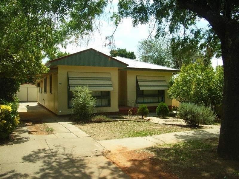 Turvey Park NSW 2650