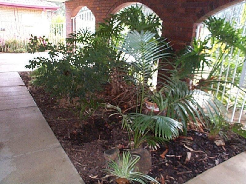 Lake Albert NSW 2650