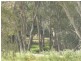 Wagga Wagga NSW 2650