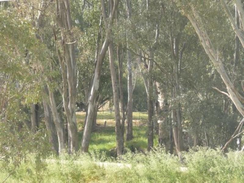 Wagga Wagga NSW 2650