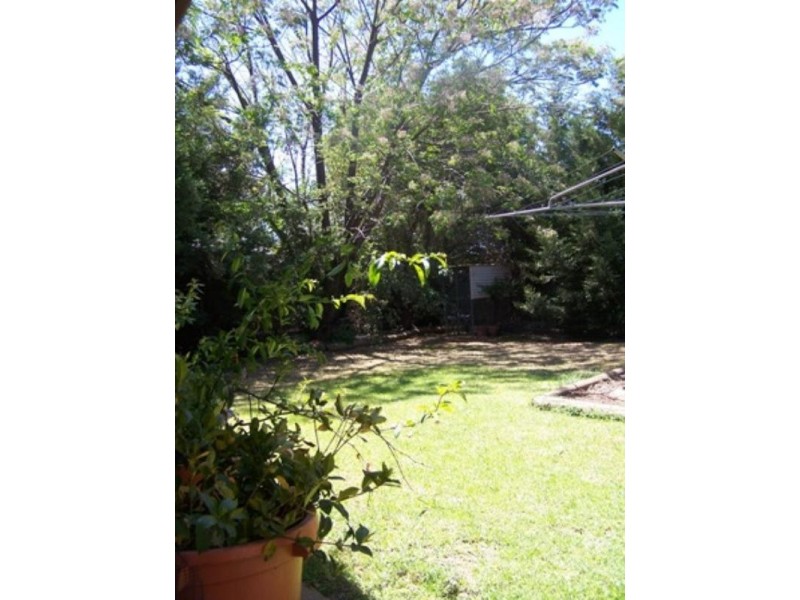 Wagga Wagga NSW 2650