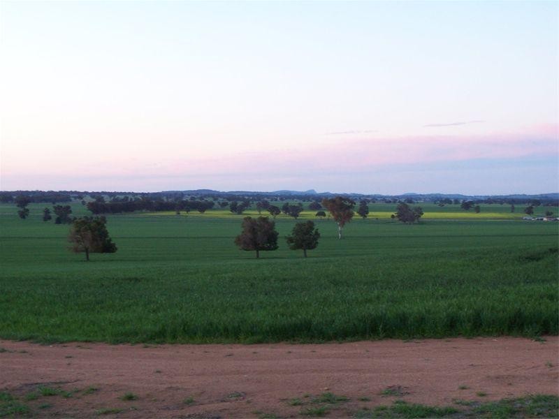 Culcairn NSW 2660