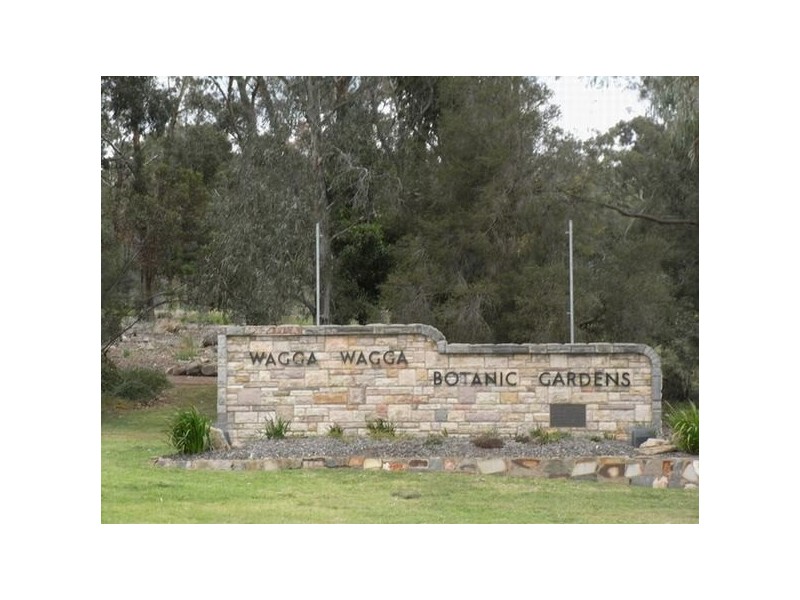 31 Rudd Street, Turvey Park NSW 2650