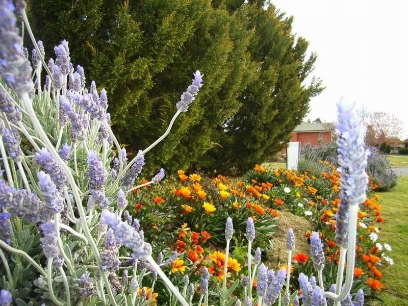 Wagga Wagga NSW 2650