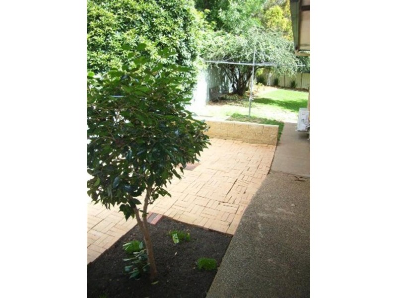 36 Alexander Avenue, Ashmont NSW 2650