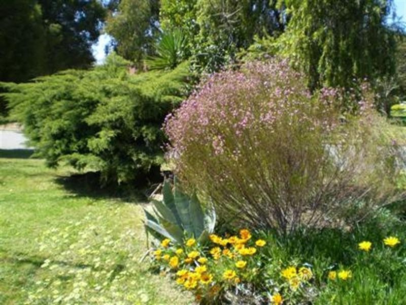 9 Taupo Drive, Lake Albert NSW 2650