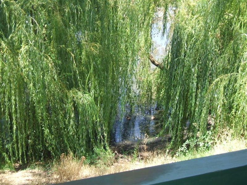 16/185 Forsyth Street, Wagga Wagga NSW 2650