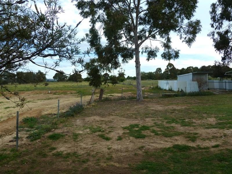 11 Benedict Avenue, San Isidore NSW 2650