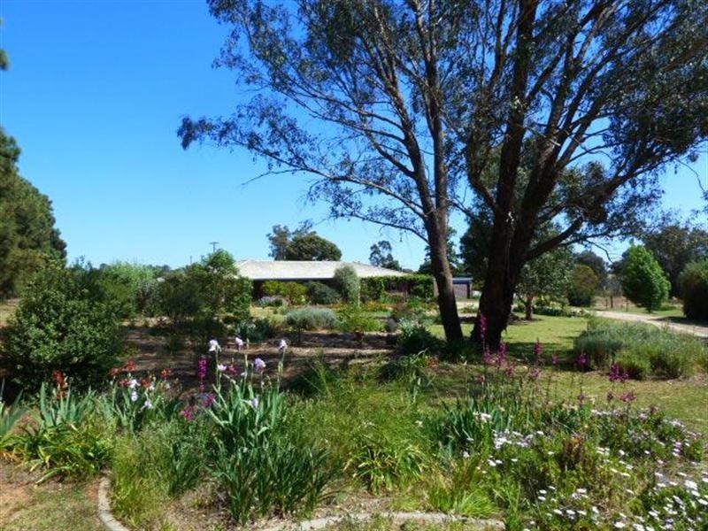 23 Cummins Drive, San Isidore NSW 2650