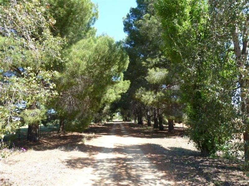 23 Cummins Drive, San Isidore NSW 2650