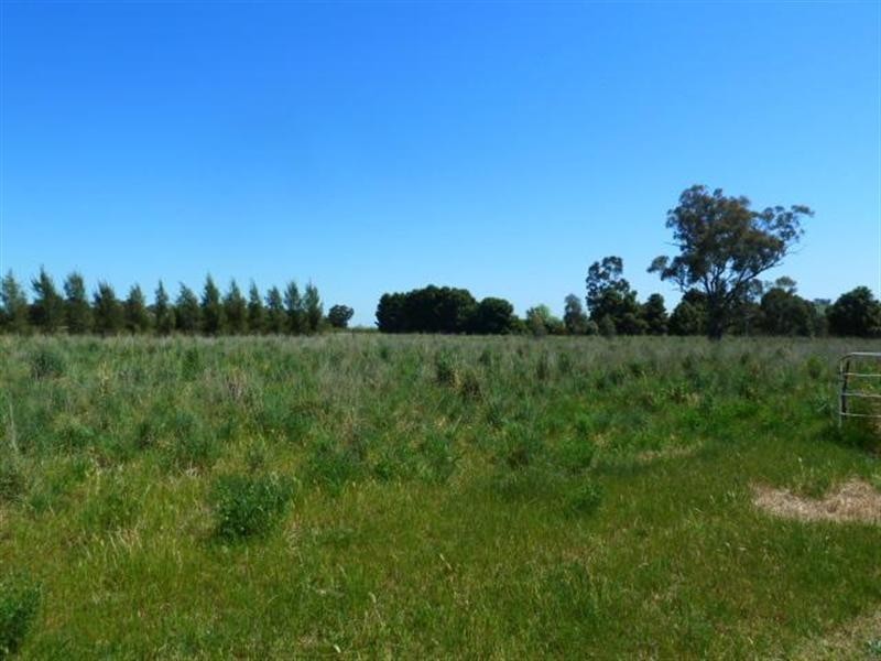 23 Cummins Drive, San Isidore NSW 2650