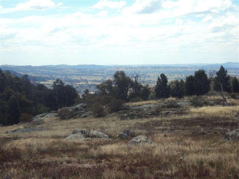 123 Gelston Heights Road, Gelston Park NSW 2650