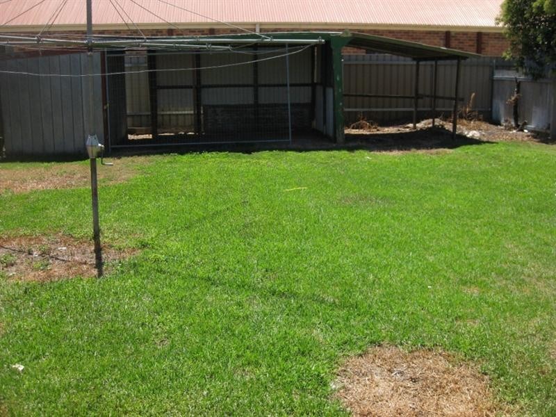 19 Morgan Street, Wagga Wagga NSW 2650