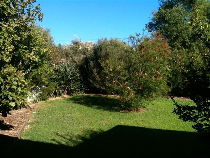 81 Meadow Street, Wagga Wagga NSW 2650