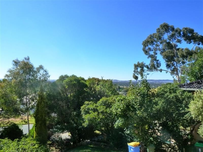 52 Andrews Avenue, Wagga Wagga NSW 2650