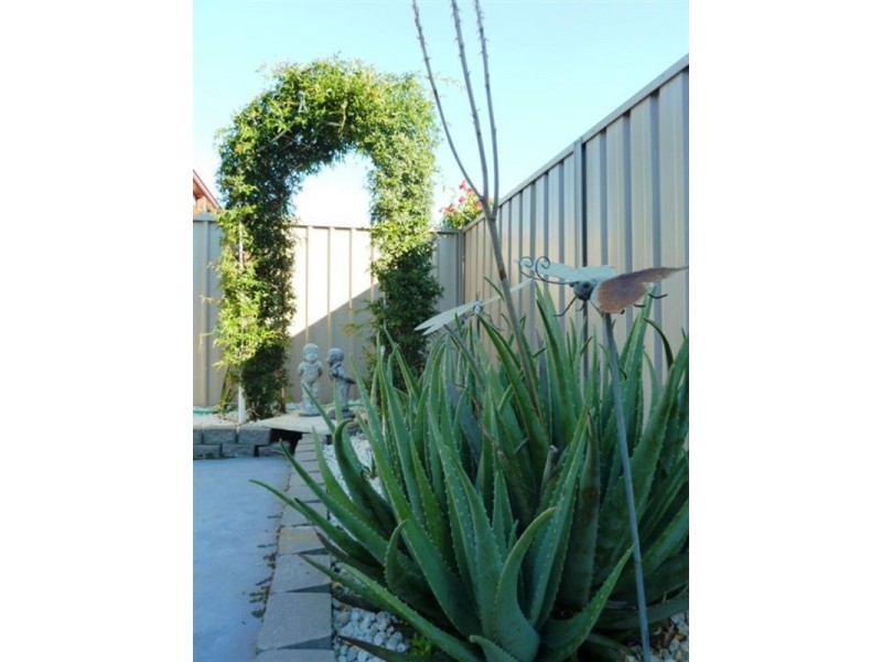 100 Mima Street, Wagga Wagga NSW 2650
