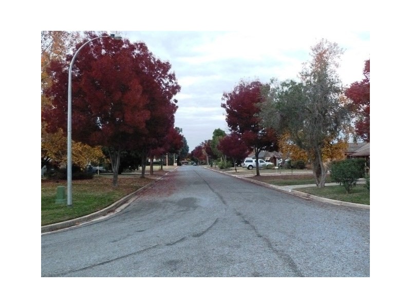 24 Jasmin Crescent, Lake Albert NSW 2650