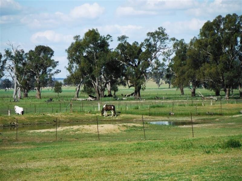 7 Pioneer Avenue, Gumly Gumly NSW 2652