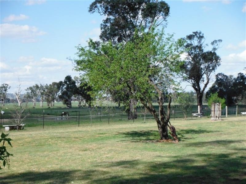 7 Pioneer Avenue, Gumly Gumly NSW 2652