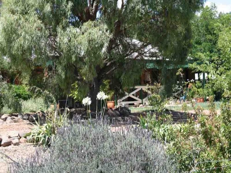 143 Rossi Street, Yass NSW 2582