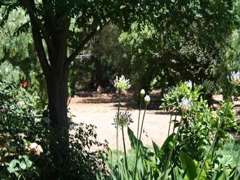 143 Rossi Street, Yass NSW 2582