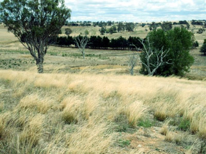 13 Good Hope Road, Yass NSW 2582